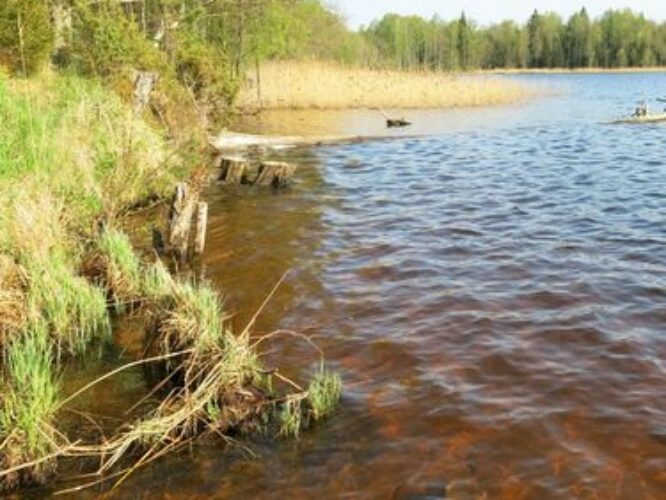 Maakond: Ida-Virumaa Veekogu nimi: Konsu järv Pildistamise aeg: 14. mai 2013 Pildistaja: H. Timm Pildistamise koht: teadmata Asimuut: