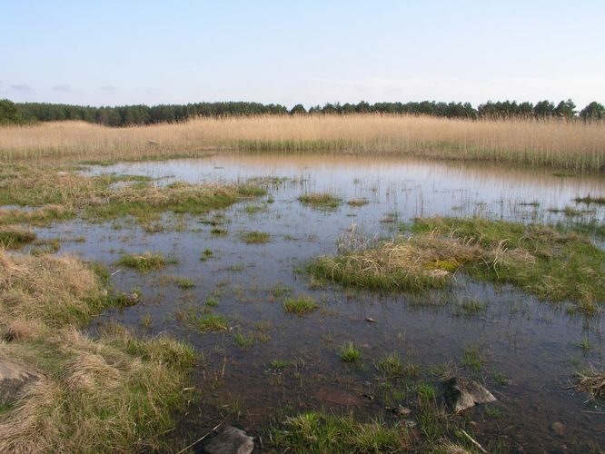 Maakond: Hiiumaa Veekogu nimi: Kootsra järv Pildistamise aeg: 25. mai 2003 Pildistaja: H. Timm Pildistamise koht: teadmata Asimuut: