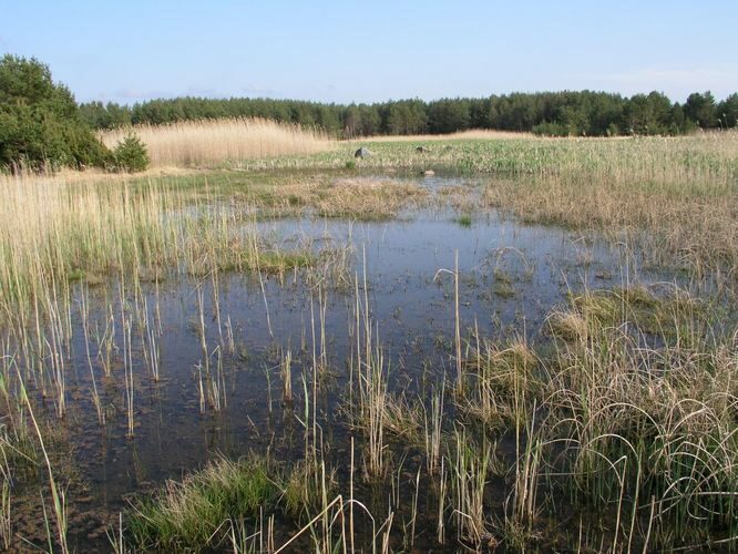 Maakond: Hiiumaa Veekogu nimi: Kootsra järv Pildistamise aeg: 25. mai 2003 Pildistaja: H. Timm Pildistamise koht: teadmata Asimuut: