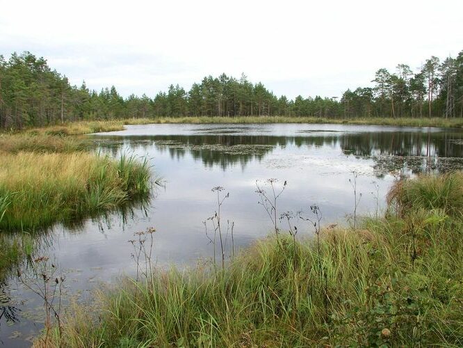 Maakond: Ida-Virumaa Veekogu nimi: Korponi järv Pildistamise aeg: 12. september 2007 Pildistaja: H. Timm Pildistamise koht: teadmata Asimuut: