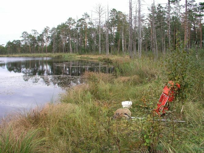 Maakond: Ida-Virumaa Veekogu nimi: Korponi järv Pildistamise aeg: 12. september 2007 Pildistaja: H. Timm Pildistamise koht: teadmata Asimuut: