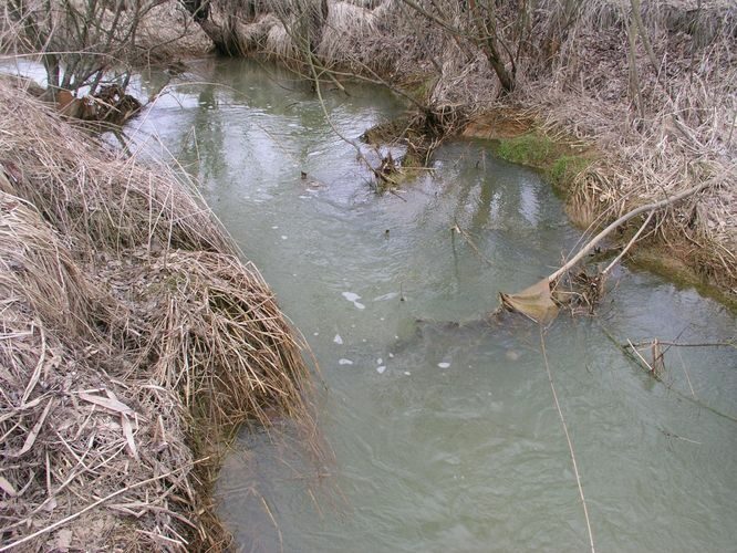 Maakond: Harjumaa Veekogu nimi: Kroodi oja Pildistamise aeg: aprill 2003 Pildistaja: H. Timm Pildistamise koht: teadmata Asimuut: