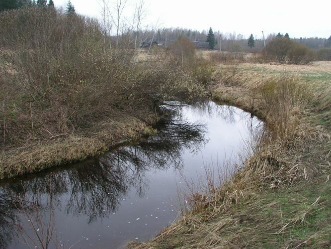 Maakond: Ida-Virumaa Veekogu nimi: Kruusoja Pildistamise aeg: 24. aprill 2007 Pildistaja: H. Timm Pildistamise koht: teadmata Asimuut: