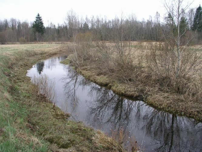 Maakond: Ida-Virumaa Veekogu nimi: Kruusoja Pildistamise aeg: 24. aprill 2007 Pildistaja: H. Timm Pildistamise koht: teadmata Asimuut: