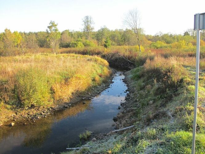 Maakond: Ida-Virumaa Veekogu nimi: Kruusoja Pildistamise aeg: 1. oktoober 2010 Pildistaja: H. Timm Pildistamise koht: teadmata Asimuut: