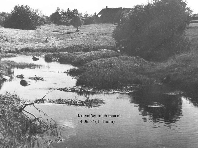 Maakond: Harjumaa Veekogu nimi: Kuivajõgi Pildistamise aeg: 14. juuni 1957 Pildistaja: T. Timm Pildistamise koht: v Asimuut: