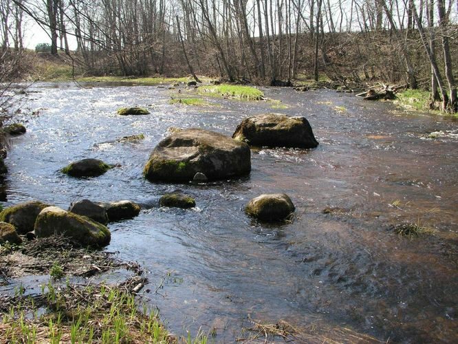 Maakond: Harjumaa Veekogu nimi: Kuivajõgi Pildistamise aeg: 26. aprill 2004 Pildistaja: H. Timm Pildistamise koht: Uuemõisa Asimuut: