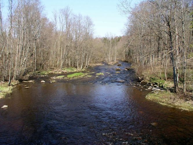 Maakond: Harjumaa Veekogu nimi: Kuivajõgi Pildistamise aeg: 26. aprill 2004 Pildistaja: H. Timm Pildistamise koht: Uuemõisa Asimuut: