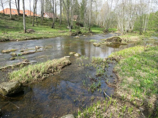 Maakond: Harjumaa Veekogu nimi: Kuivajõgi Pildistamise aeg: 29. aprill 2014 Pildistaja: H. Timm Pildistamise koht: alamjooks Asimuut: