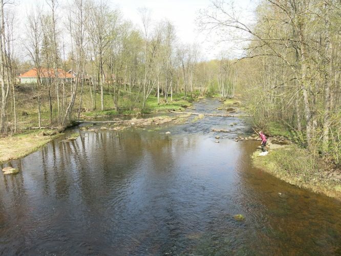 Maakond: Harjumaa Veekogu nimi: Kuivajõgi Pildistamise aeg: 29. aprill 2014 Pildistaja: H. Timm Pildistamise koht: alamjooks Asimuut: