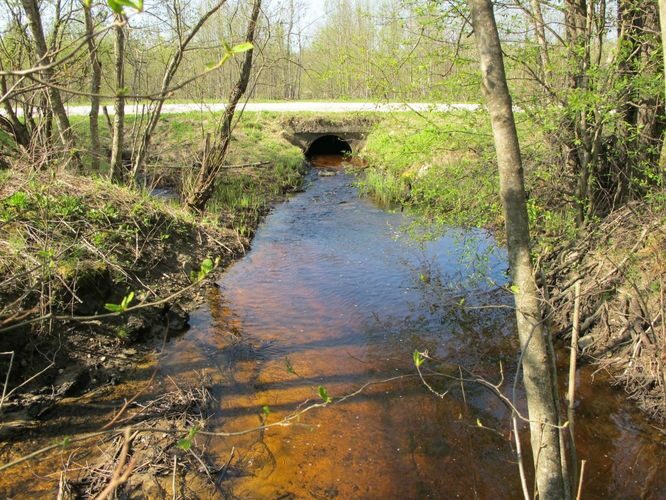 Maakond: Ida-Virumaa Veekogu nimi: Kulgu jõgi Pildistamise aeg: 12. mai 2010 Pildistaja: H. Timm Pildistamise koht: teadmata Asimuut: