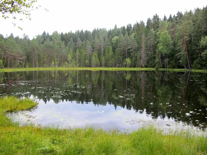 Maakond: Harjumaa Veekogu nimi: Kulli järv Pildistamise aeg: august 2010 Pildistaja: H. Timm Pildistamise koht: teadmata Asimuut: