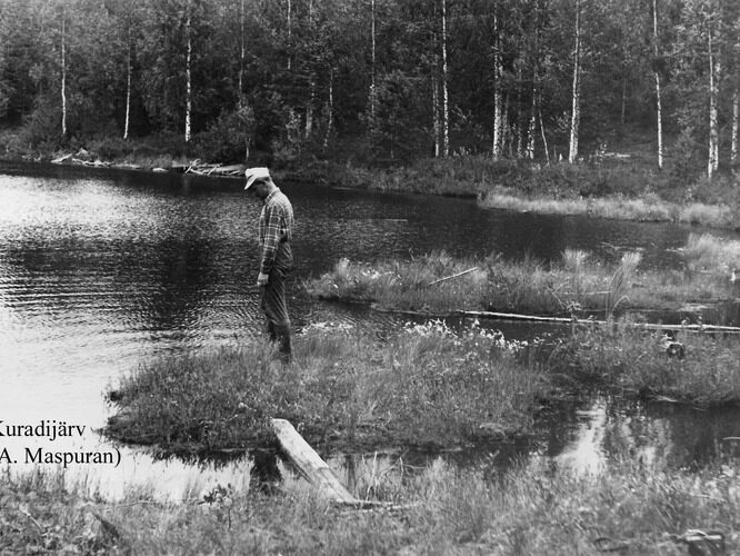 Maakond: Ida-Virumaa Veekogu nimi: Kuradijärv Pildistamise aeg: teadmata Pildistaja: A. Maspuran Pildistamise koht: teadmata Asimuut: ENE