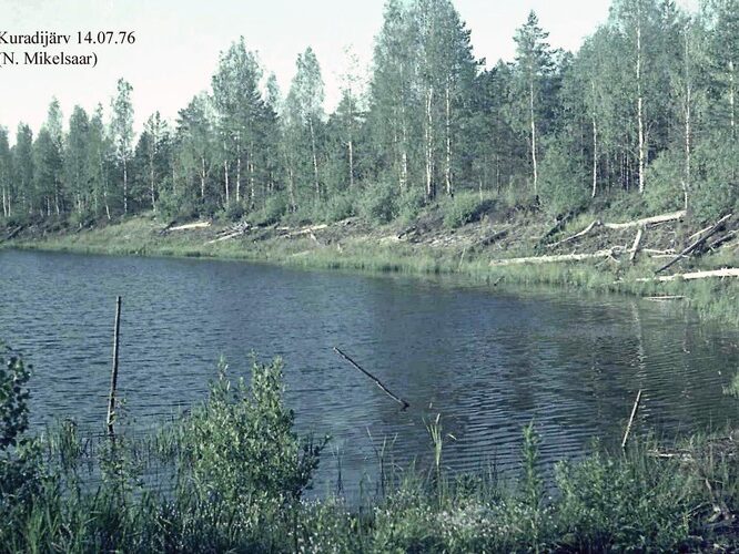 Maakond: Ida-Virumaa Veekogu nimi: Kuradijärv Pildistamise aeg: 14. juuli 1976 Pildistaja: N. Mikelsaar Pildistamise koht: teadmata Asimuut: NE