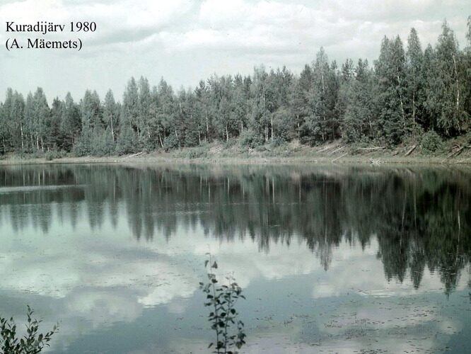 Maakond: Ida-Virumaa Veekogu nimi: Kuradijärv Pildistamise aeg: 1980 Pildistaja: A. Mäemets Pildistamise koht: teadmata Asimuut: NE