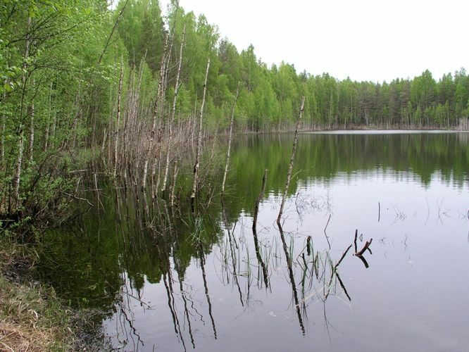 Maakond: Ida-Virumaa Veekogu nimi: Kuradijärv Pildistamise aeg: 23. mai 2006 Pildistaja: H. Timm Pildistamise koht: teadmata Asimuut: