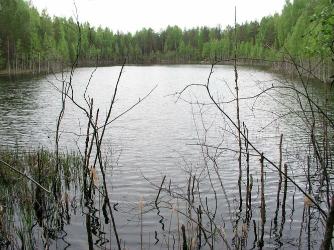 Maakond: Ida-Virumaa Veekogu nimi: Kuradijärv Pildistamise aeg: 23. mai 2006 Pildistaja: H. Timm Pildistamise koht: teadmata Asimuut: