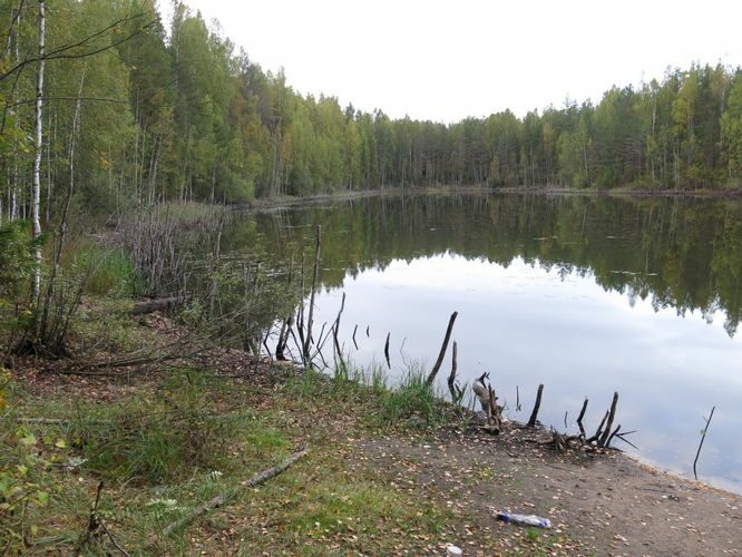 Maakond: Ida-Virumaa Veekogu nimi: Kuradijärv Pildistamise aeg: 24. september 2014 Pildistaja: H. Timm Pildistamise koht: teadmata Asimuut: