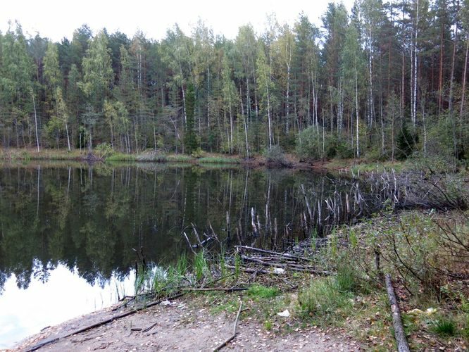 Maakond: Ida-Virumaa Veekogu nimi: Kuradijärv Pildistamise aeg: 24. september 2014 Pildistaja: H. Timm Pildistamise koht: teadmata Asimuut: