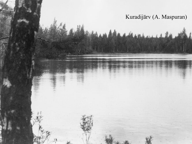 Maakond: Ida-Virumaa Veekogu nimi: Kuradijärv Pildistamise aeg: teadmata Pildistaja: A. Maspuran Pildistamise koht: teadmata Asimuut: