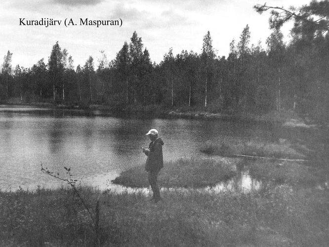 Maakond: Ida-Virumaa Veekogu nimi: Kuradijärv Pildistamise aeg: teadmata Pildistaja: A. Maspuran Pildistamise koht: teadmata Asimuut: ENE