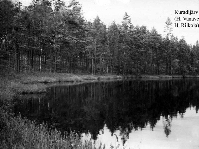 Maakond: Ida-Virumaa Veekogu nimi: Kuradijärv Pildistamise aeg: teadmata Pildistaja: H. Vanaveski/H. Riikoja Pildistamise koht: teadmata Asimuut: NW