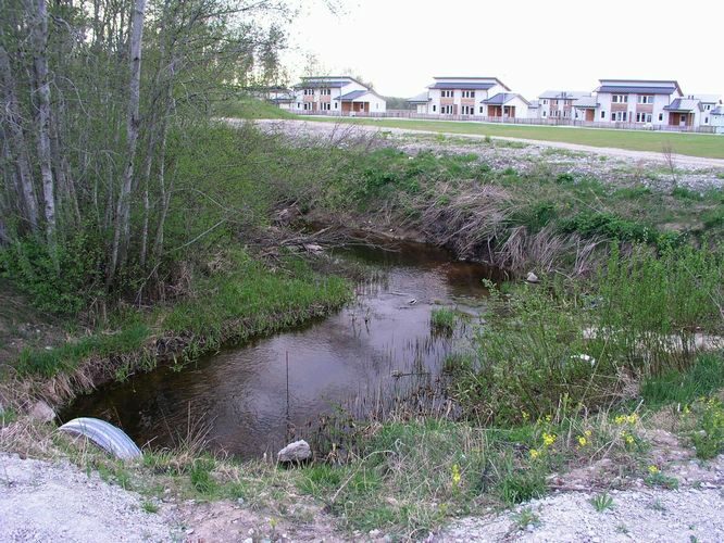 Maakond: Harjumaa Veekogu nimi: Kurna oja Pildistamise aeg: 13. mai 2009 Pildistaja: H. Timm Pildistamise koht: Assaku Asimuut: