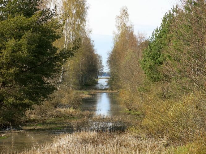 Maakond: Harjumaa Veekogu nimi: Kurna oja Pildistamise aeg: 28. aprill 2014 Pildistaja: H. Timm Pildistamise koht: enne suuet Asimuut: