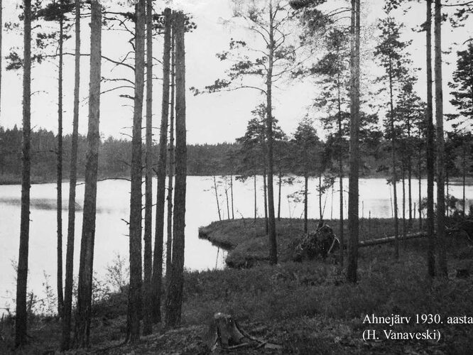 Maakond: Ida-Virumaa Veekogu nimi: Kurtna Ahnejärv Pildistamise aeg: 1930 Pildistaja: H. Vanaveski/H. Riikoja Pildistamise koht: teadmata Asimuut: