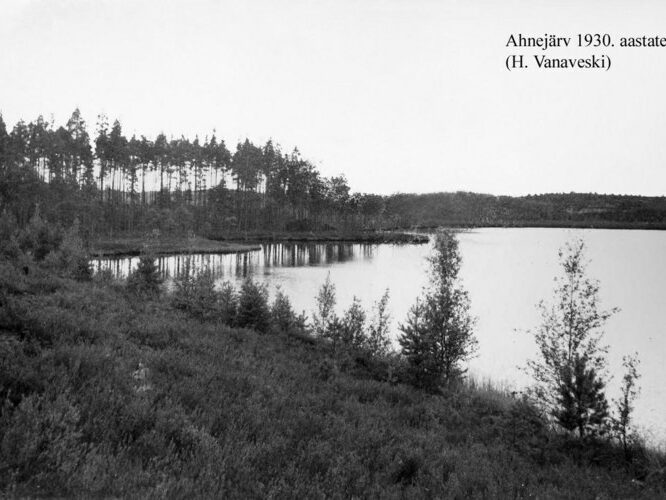 Maakond: Ida-Virumaa Veekogu nimi: Kurtna Ahnejärv Pildistamise aeg: 1930 Pildistaja: H. Vanaveski/H. Riikoja Pildistamise koht: teadmata Asimuut: