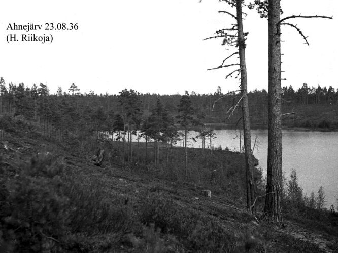 Maakond: Ida-Virumaa Veekogu nimi: Kurtna Ahnejärv Pildistamise aeg: 23. august 1936 Pildistaja: H. Riikoja Pildistamise koht: teadmata Asimuut: