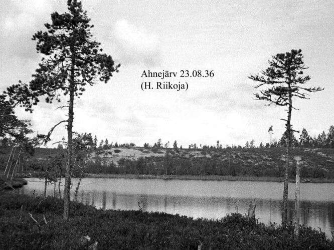 Maakond: Ida-Virumaa Veekogu nimi: Kurtna Ahnejärv Pildistamise aeg: 23. august 1936 Pildistaja: H. Riikoja Pildistamise koht: teadmata Asimuut: