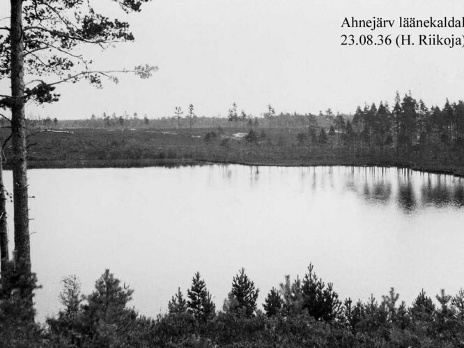 Maakond: Ida-Virumaa Veekogu nimi: Kurtna Ahnejärv Pildistamise aeg: 23. august 1936 Pildistaja: H. Riikoja Pildistamise koht: W-kaldalt Asimuut: