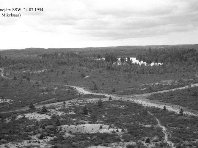 Maakond: Ida-Virumaa Veekogu nimi: Kurtna Ahnejärv Pildistamise aeg: 24. juuli 1954 Pildistaja: N. Mikelsaar Pildistamise koht: SSW, tornist Asimuut: