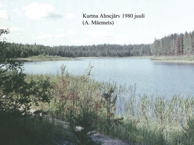 Maakond: Ida-Virumaa Veekogu nimi: Kurtna Ahnejärv Pildistamise aeg: juuli 1980 Pildistaja: A. Mäemets Pildistamise koht: teadmata Asimuut: