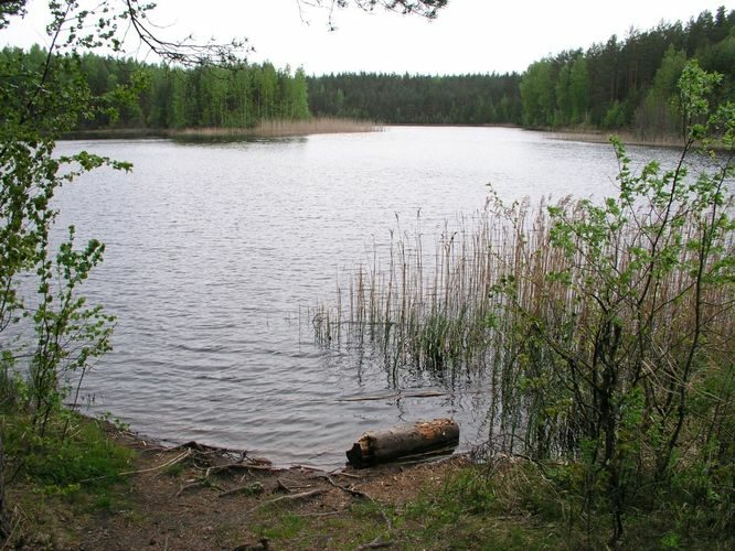 Maakond: Ida-Virumaa Veekogu nimi: Kurtna Ahnejärv Pildistamise aeg: 23. mai 2006 Pildistaja: H. Timm Pildistamise koht: teadmata Asimuut: