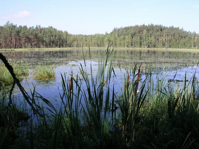 Maakond: Ida-Virumaa Veekogu nimi: Kurtna Ahnejärv Pildistamise aeg: 23. mai 2006 Pildistaja: H. Timm Pildistamise koht: teadmata Asimuut: