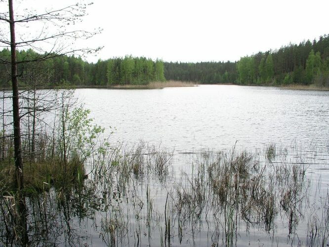 Maakond: Ida-Virumaa Veekogu nimi: Kurtna Ahnejärv Pildistamise aeg: 23. mai 2006 Pildistaja: H. Timm Pildistamise koht: teadmata Asimuut: