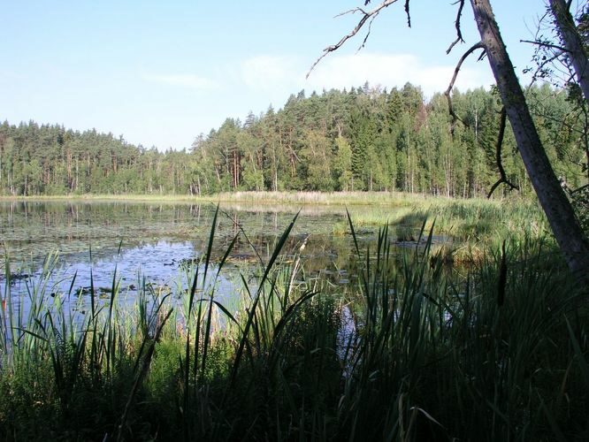 Maakond: Ida-Virumaa Veekogu nimi: Kurtna Ahnejärv Pildistamise aeg: 23. mai 2006 Pildistaja: H. Timm Pildistamise koht: teadmata Asimuut: