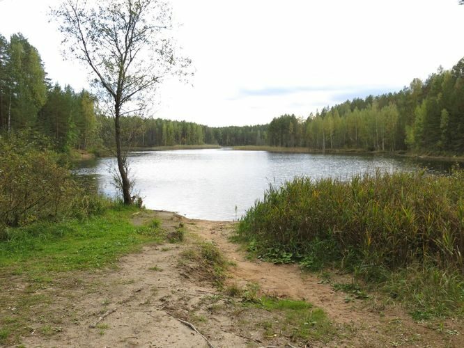 Maakond: Ida-Virumaa Veekogu nimi: Kurtna Ahnejärv Pildistamise aeg: 24. september 2014 Pildistaja: H. Timm Pildistamise koht: teadmata Asimuut: