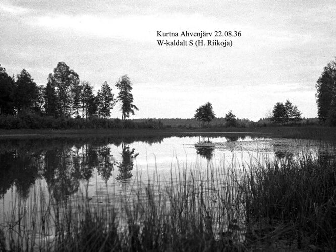 Maakond: Ida-Virumaa Veekogu nimi: Kurtna Ahvenjärv Pildistamise aeg: 22. august 1936 Pildistaja: H. Riikoja Pildistamise koht: W-kaldalt S Asimuut: