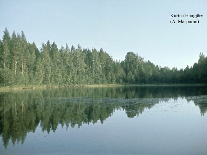 Maakond: Ida-Virumaa Veekogu nimi: Kurtna Haugjärv Pildistamise aeg: teadmata Pildistaja: A. Maspuran Pildistamise koht: teadmata Asimuut: