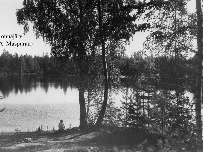 Maakond: Ida-Virumaa Veekogu nimi: Kurtna Konnajärv Pildistamise aeg: teadmata Pildistaja: A. Maspuran Pildistamise koht: teadmata Asimuut: