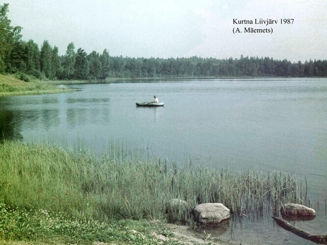 Maakond: Ida-Virumaa Veekogu nimi: Kurtna Liivjärv Pildistamise aeg: 1987 Pildistaja: A. Mäemets Pildistamise koht: teadmata Asimuut: