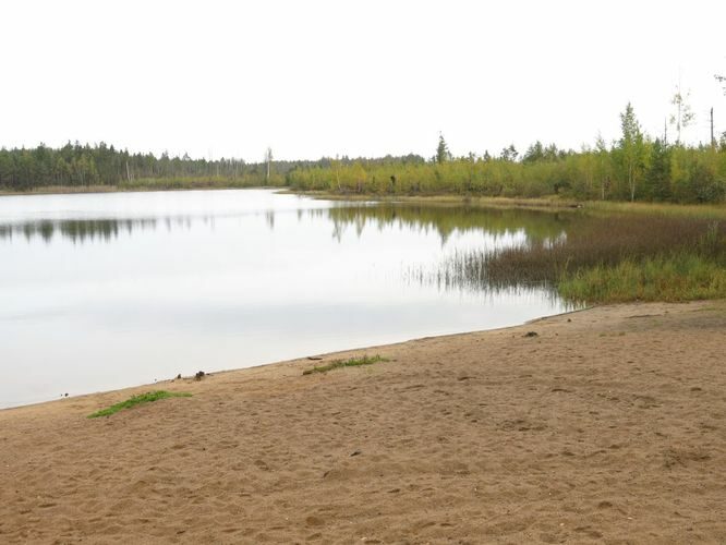 Maakond: Ida-Virumaa Veekogu nimi: Kurtna Liivjärv Pildistamise aeg: 25. september 2014 Pildistaja: H. Timm Pildistamise koht: teadmata Asimuut: