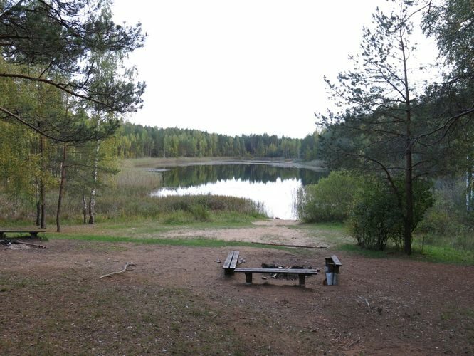 Maakond: Ida-Virumaa Veekogu nimi: Kurtna Martiska järv Pildistamise aeg: 24. september 2014 Pildistaja: H. Timm Pildistamise koht: teadmata Asimuut: