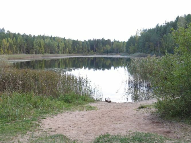 Maakond: Ida-Virumaa Veekogu nimi: Kurtna Martiska järv Pildistamise aeg: 24. september 2014 Pildistaja: H. Timm Pildistamise koht: teadmata Asimuut: