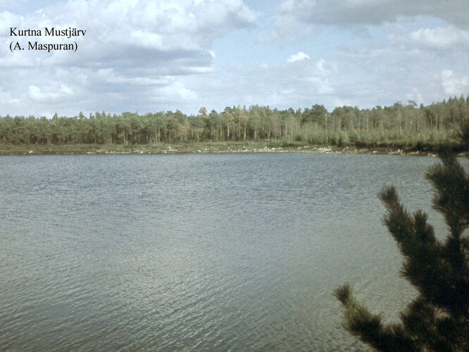 Maakond: Ida-Virumaa Veekogu nimi: Kurtna Mustjärv Pildistamise aeg: teadmata Pildistaja: A. Maspuran Pildistamise koht: teadmata Asimuut: