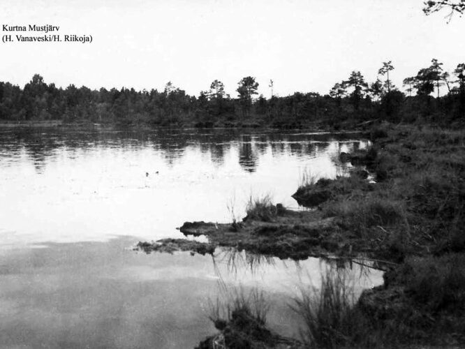 Maakond: Ida-Virumaa Veekogu nimi: Kurtna Mustjärv Pildistamise aeg: teadmata Pildistaja: H. Vanaveski/H. Riikoja Pildistamise koht: teadmata Asimuut: