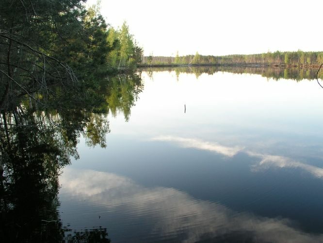 Maakond: Ida-Virumaa Veekogu nimi: Kurtna Mustjärv Pildistamise aeg: 22. mai 2006 Pildistaja: H. Timm Pildistamise koht: teadmata Asimuut: